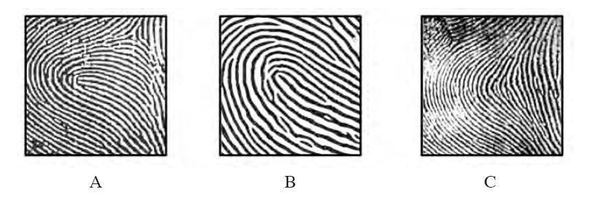 Circle A, B or C A B C (c) Write down one method of protecting the crime