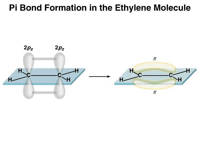 Sigma with 2 Pi bond Pi bond ( ) electron density above and below plane of nuclei Sigma bond ( ) electron density between the 2 atoms of the bonding atoms 10.