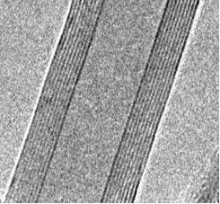 5L1-5-S >95 Double Wall Carbon Nanotubes Produced by CVD method Diameter:4 ±1 nm Length: 1-5 microns or 5-20 microns Purity > 95% 1 200 5 900 Catalog No.