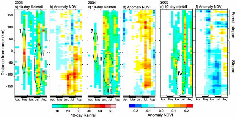 Fig. 2 Time-latitude cross sections of 10-day rainfall and NDVI anomaly along the line N-S for 2003 to 2005.