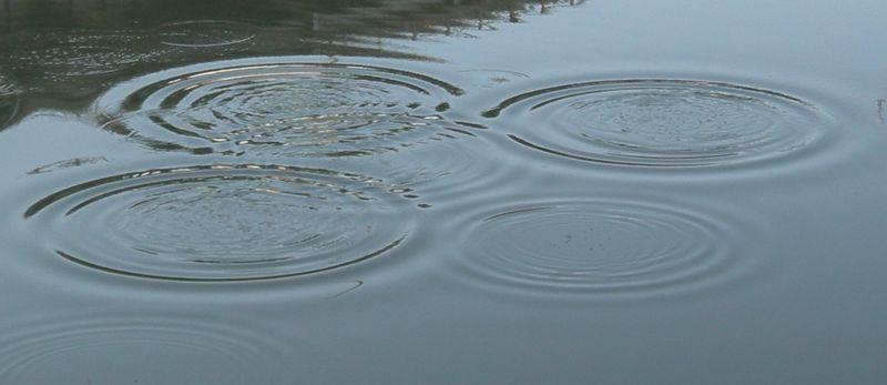 Interference and Superposition When raindrops fall into still water, they create tiny waves that spread out in all