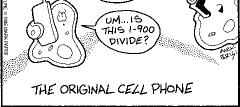Animal Cell KNOW Figure 1.