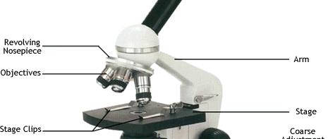 Modern Light Microscopes Compound light microscopes today have drastically improved how we see the world New