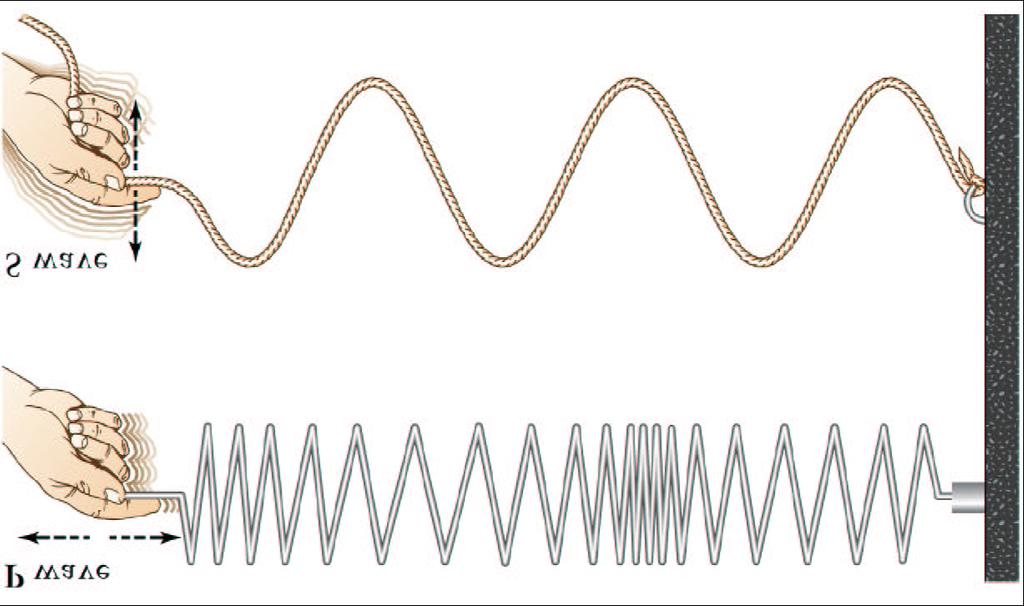 Earthquakes produce two types of seismic waves: P waves [Primary, Pressure]: Sound waves travel through