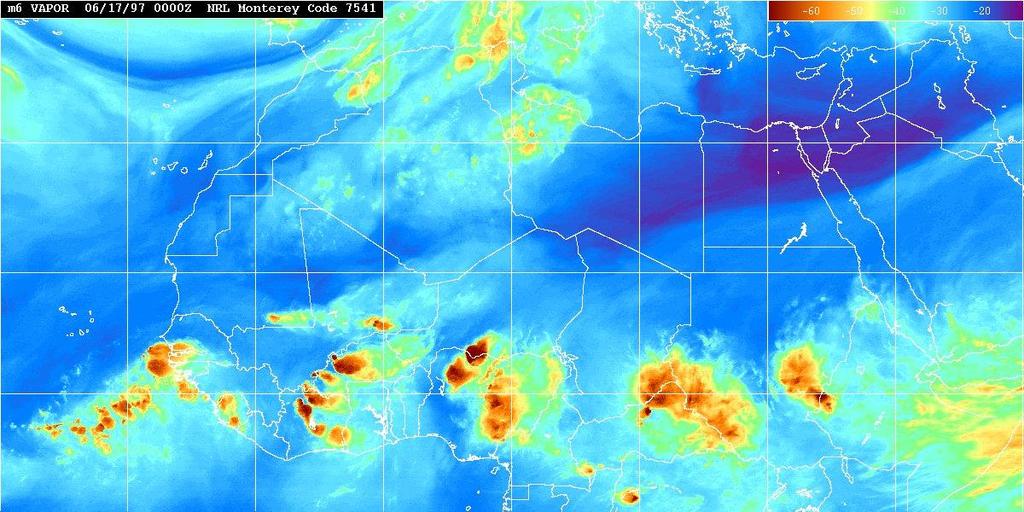 African Easterly Waves Primary synoptic modulator of rainfall