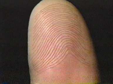 You have exemplar ten print fingerprint cards for John