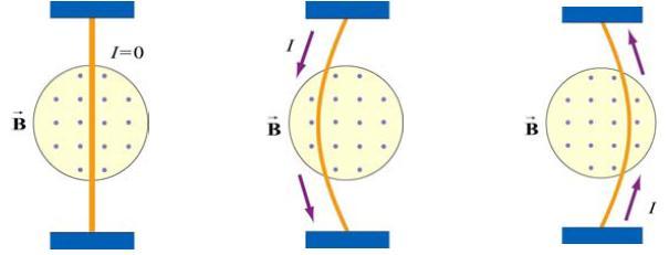 Magnetic Force on a Current-Carrying Wire Since electric current consists of a