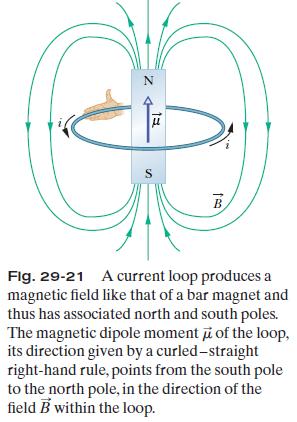 29-6 A Current-Carrying Coil ad a Magnetic Dipole We can regard a current-carrying coil as a magnetic dipole: (1) it experiences a torque when we place it in an external magnetic field; (2) it