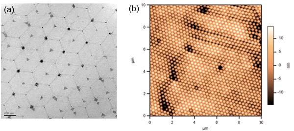 Supracolloidal polymer film Pattern Chen, Y.; Jones, S. T.; Hancox, I.