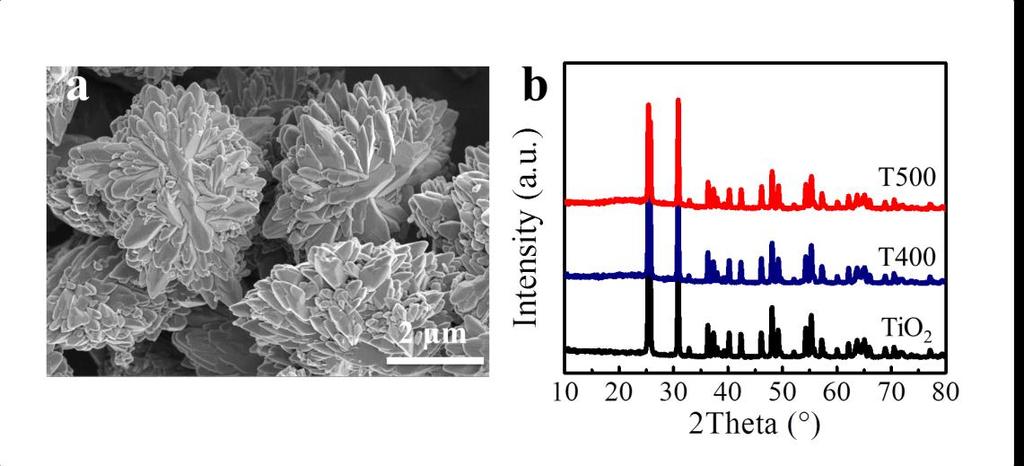 into deionized water is critical and would make a great difference in morphologies of the products, intensive and lengthy stirring favored both nucleation and growth of the platelike brookite; in