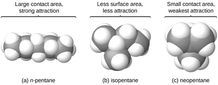 Shapes of molecules As the contact area increases of the molecule the London forces