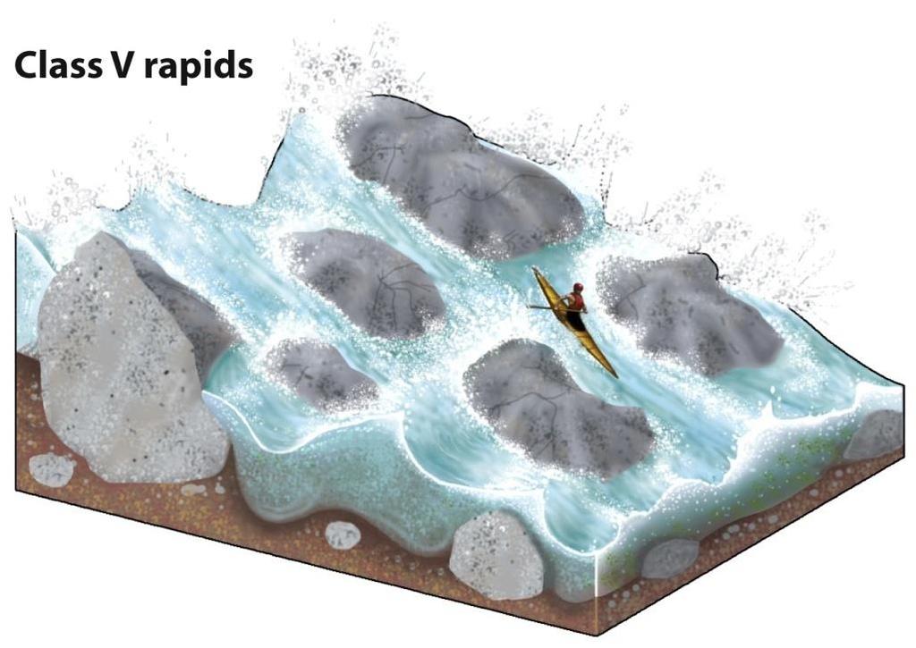 Rapids Rapids