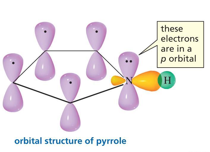 Pyrrole N H N H Lone pair is part of p-system,