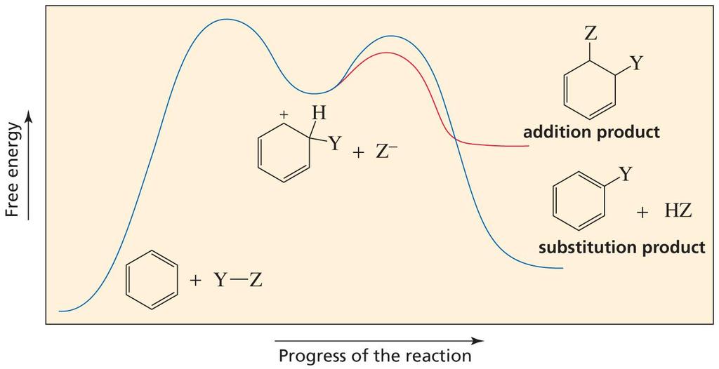 Benzene undergoes Substitution, not Addition The reaction of benzene with an electrophile forms