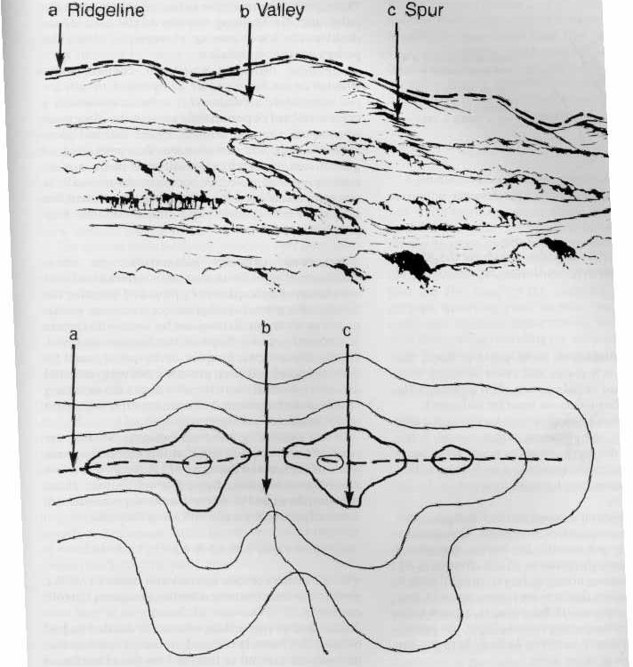 Contour (isolines) Lines Contour lines, or isolines connect points that have the same elevation Advantages Familiar to many people Easy to obtain mental picture of surface Close lines = steep slope