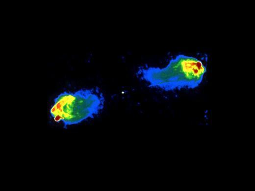 Cosmic Jets and Radio Lobes Many active galaxies show powerful