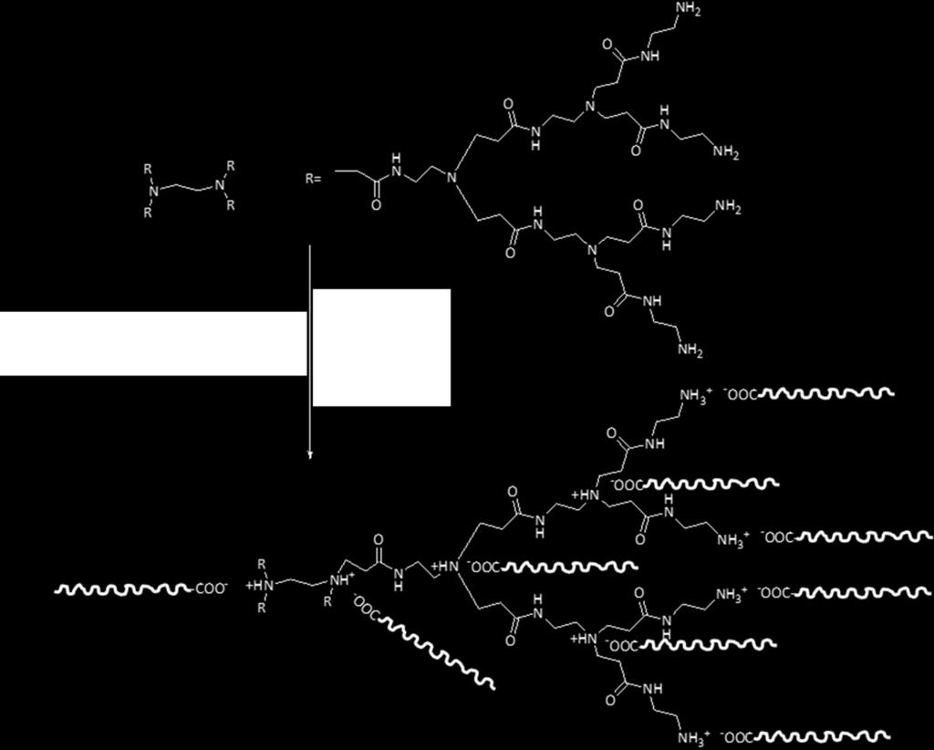 1. SYNTHESIS and CHARACTERIZATION of the amphiphilic ionic dendrimers based on PAMAM 1.