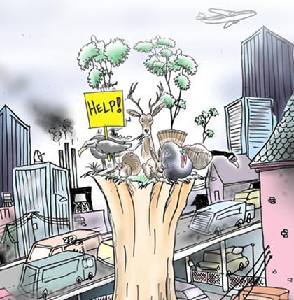 Need? Rapid population growth - urban expansion and development Habitat destruction wild places