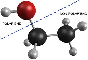 These forces are generally a result of varying electronegativity between the atoms in a molecule.