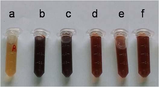 Figure 1: (a) Aqueous extract of A.dubius (b,c,d,e & f) silver nanoparticles synthesized from silver nitrate solution at different concentrations with 1ml of plant extract.