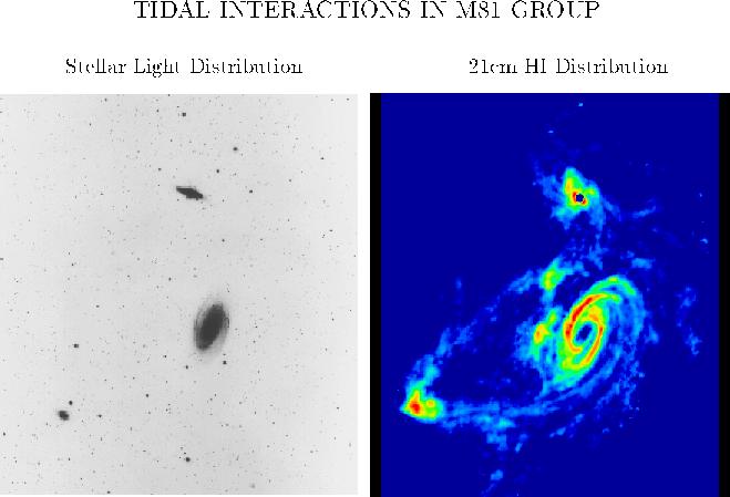 Tidal Interactions in M81 group of galaxies: