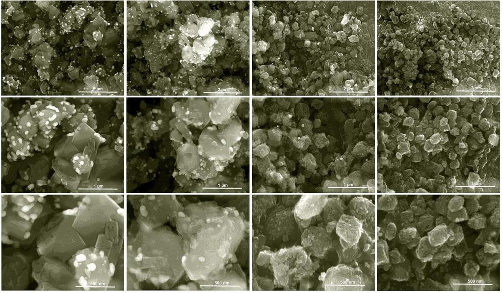 Zeolite Crystallinity (%) Si/Al Ratio (mol) Table 2 Catalyst samples characterization.