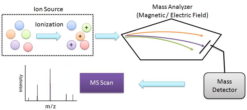 Figure 2.1: The basic components of a mass spectrometer: an ion source, a mass analyzer and a mass detector. The relative abundances of measured ions are reported in mass spectra. 2.1.2 Mass Spectrometry Technology Mass Spectrometry Mass spectrometry is an analytical technique that measures the mass-to-charge ratio (m/z) of charged particles.