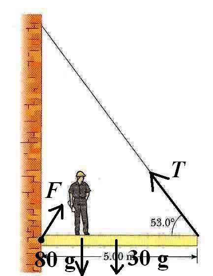 P-. Static Equilibrium [6.5 marks] A uniform, horizontal 30.0-kg beam, 5.00-m long, is attached to a wall by a pin connection that allows the beam to rotate in a vertical plane.