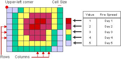 RASTER DATA Because the raster data model is a regular grid, spatial relationships are implicit No need to store