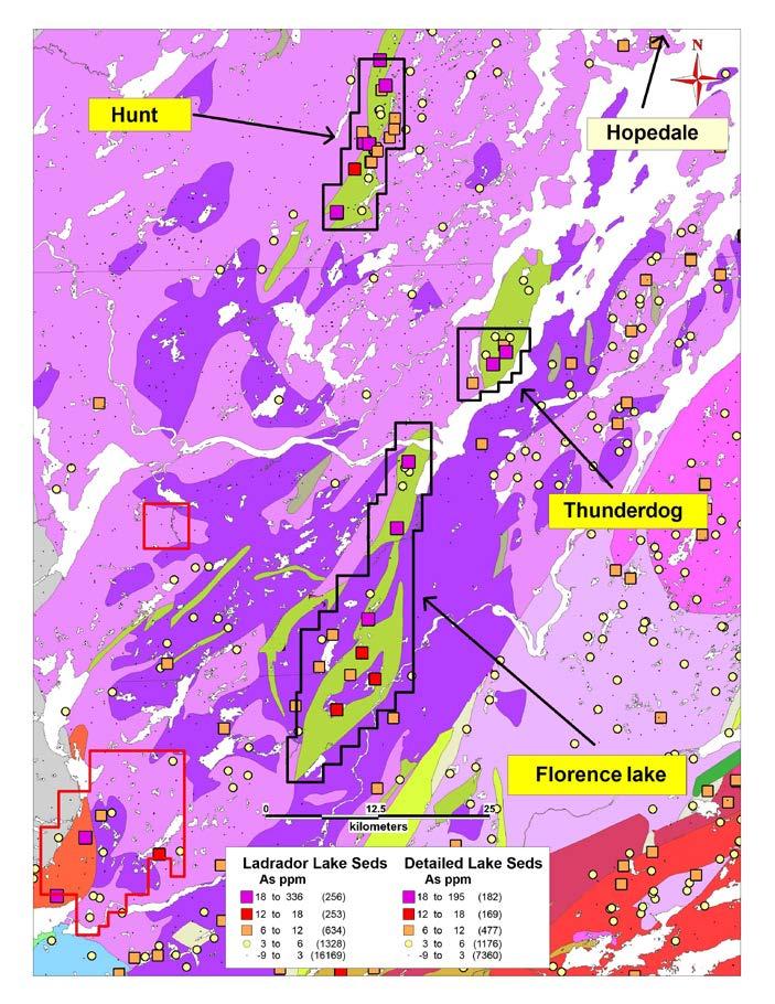 Hopedale Hopedale claims cover most of the Hunt River and Florence Lake greenstone belts (~80 km) Under explored for gold despite Thurber dog showing assaying up to 7.