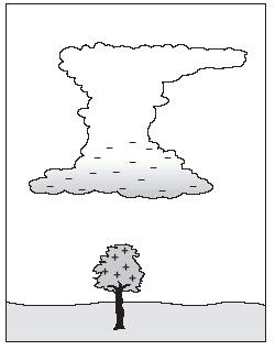29. The diagram shows a charged thundercloud. (a) Why does the tree below the thundercloud become positively charged?.. (b) The base of the cloud has a negative charge of 18 coulombs.