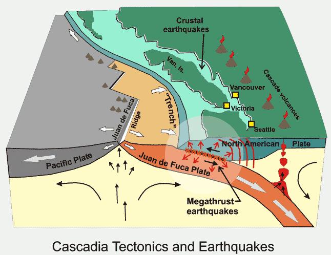 5 to M 7 earthquake on the San Andreas Fault in the next thirty years 62% chance of a M 6.