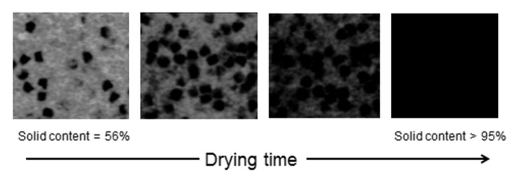 finally no detectable fluorescence signal is produced by the dry polymer film. The disappearance of the fluorescence signal can also be used as an indicator for the drying time.
