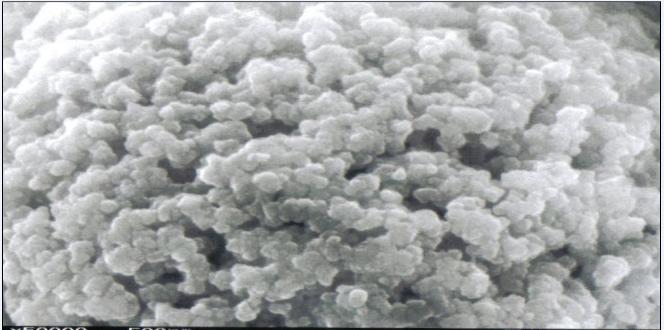 Introduction to GPC/SEC Separation mechanism GPC/SEC Column Filled with porous particles; diffusion into the pores when size fits Sample Mixture size :