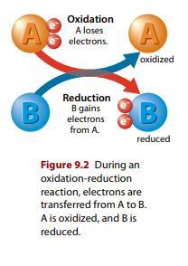 Oxidation and Reduction These 2 reactions happen at the same