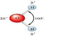 AP CHEMISTRY CHAPTER 4 SOLUTION STOICHIOMETRY Electrons aren t shared evenly in water (oxygen is more electronegative). Electrons spend more time close to O than to H.