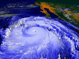 Tropical Storm Risk (TSR) "Seasonal
