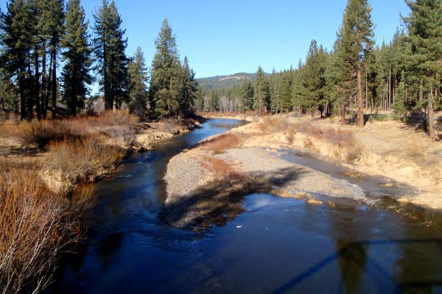 Photo 5: Looking downstream at Middle Fork Feather