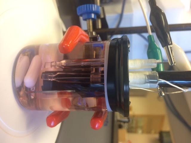 electrode for O2 measurement. The red dye was added into the solution to show that the entire electrolysis cell has a negligible headspace.