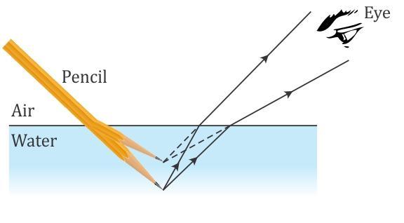(c) (i) The immersed part of the pencil appears to be shortened and raised. (ii) The phenomenon responsible for the above observation is the refraction of light in passing from water to air.