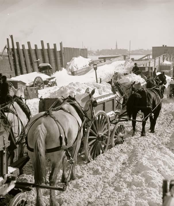 .. 16 Horse carts take snow away after the Blizzard of 1888.