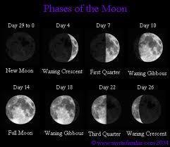 #25 How long does it take the moon to show all of its eight phases?