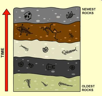 Geology Changes in the Earth s surface