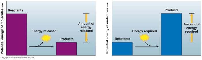 The greater the decrease in free energy, (- G or loss
