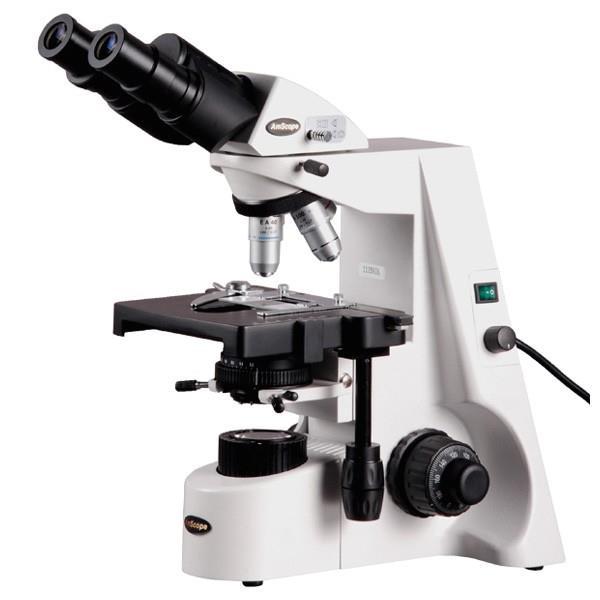 Observing Cells: Light Microscope