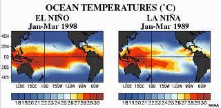 What is El Nino? El Nino occurs when the trade winds slow or stop.