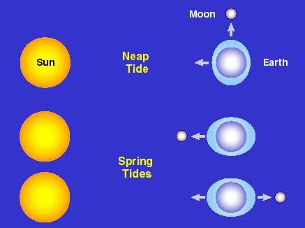 Tides Daily periodic rise and fall of the water level (4x) Caused by gravitational pull of the moon and sun on Earth