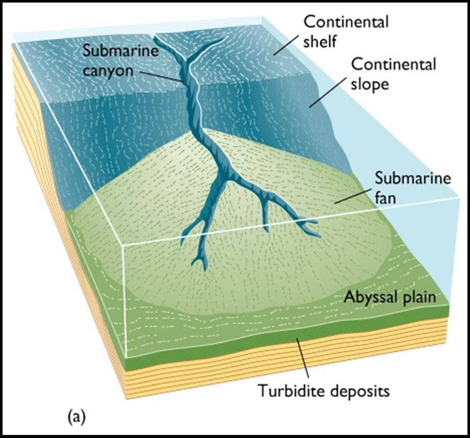 Deep-sea fan large-scale sediment