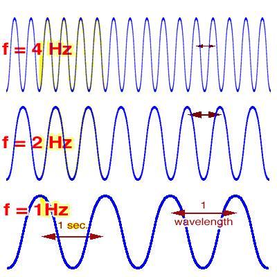 Wavelength Wavelength Crest Amplitude Rest Position Trough Wavelength Frequency is the rate of repetition of a wave.