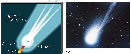 15 Hydrogen envelope Tails -- Always point away from the Sun Dust tail -- small dust particles,
